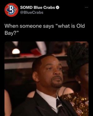 Image post by @somdbluecrabs on Instagram