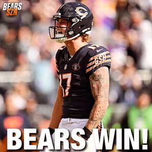 Image post by @bearsszn on Instagram