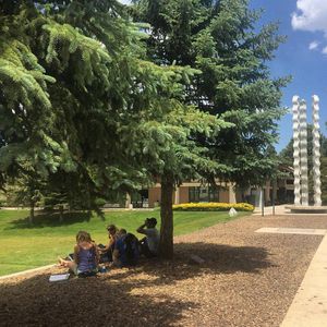 Image post by @nauflagstaff on Instagram