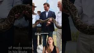 Video post by @nowthisnews on YouTube
