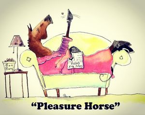 Image post by @snaffle_it on Instagram