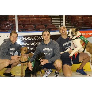 Image post by @swamprabbits on Instagram