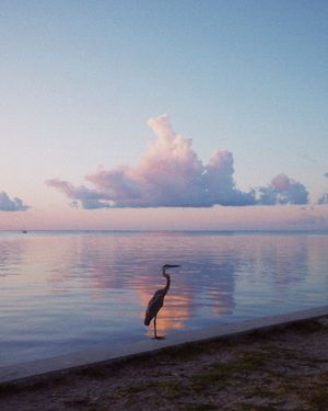 Image post by @vsco on Instagram