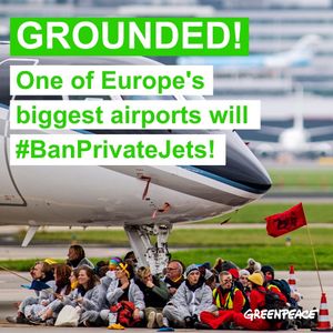 Image post by @greenpeace on Instagram