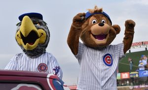Image post by @sbcubs on Instagram