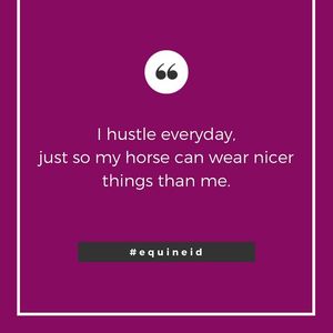 Image post by @equineidsolutions on Instagram