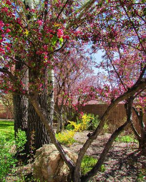 Image post by @nauflagstaff on Instagram