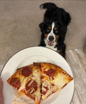 Image post by @digiorno on Instagram
