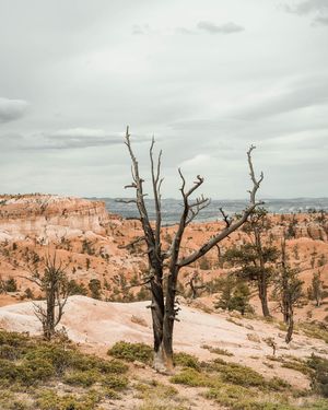 Image post by @aaronjohnsonmedia on Instagram