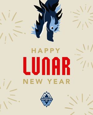 Image post by @whitecapsfc on Instagram
