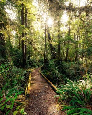 Image post by @nationalparkscollective on Instagram