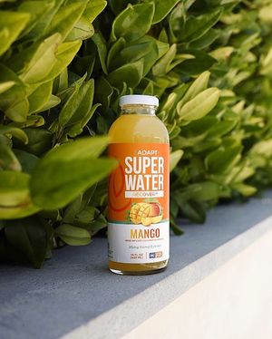 Image post by @adaptsuperwater on Instagram