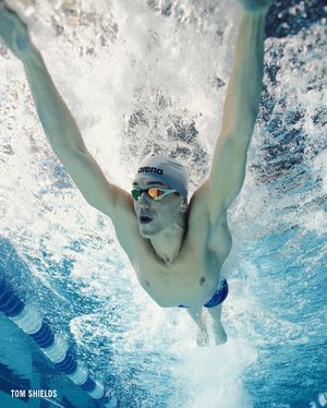 Image post by @arenausa on Instagram