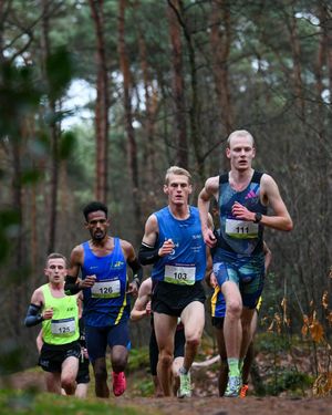 Image post by @hardloopnetwerk on Instagram
