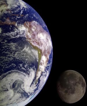 Image post by @discovery on Instagram