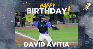 Image post by @Pelicanbaseball on Twitter/X