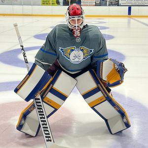 Image post by @goaliegearnerd on Instagram