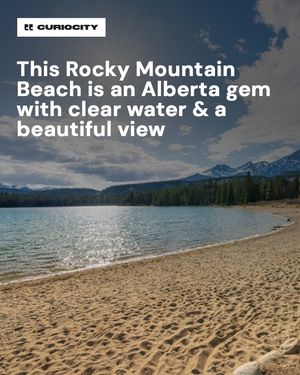 Image post by @curiocitycalgary on Instagram