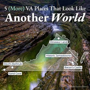 Image post by @vadogwoodnews on Instagram