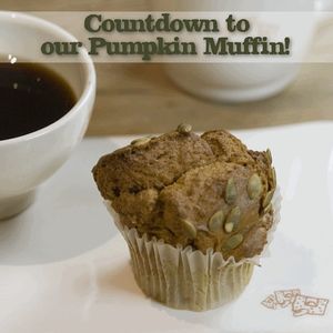 Image post by @lepainquotidienus on Instagram