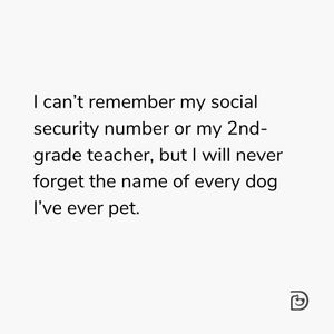 Image post by @dogtopiagr on Instagram