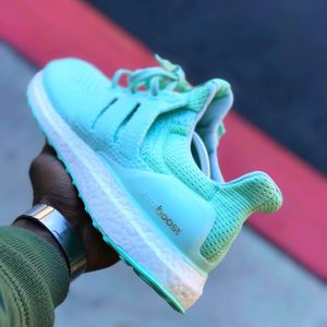 Image post by @franknittyy on Instagram