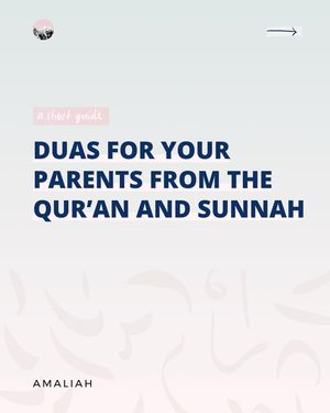 Image post by @amaliah_com on Instagram