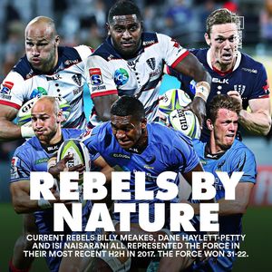 Image post by @rugbypass on Instagram