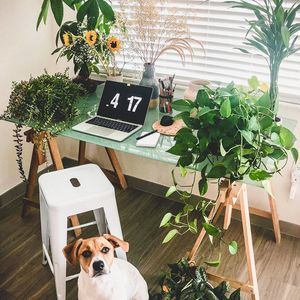 Image post by @yahoolifestyle on Instagram