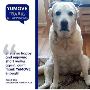 Image post by @YuMOVE.US on Facebook