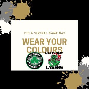 Image post by @wlalacrosse on Instagram