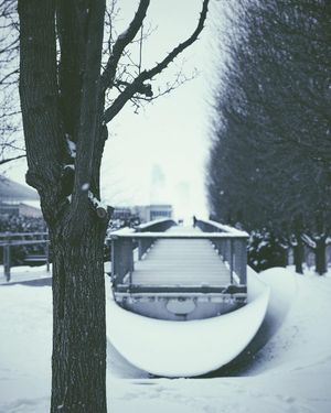 Image post by @willtrogdon on Instagram