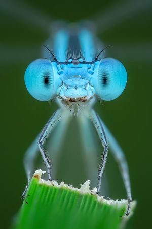Image post by @ScienceChannel on Twitter/X