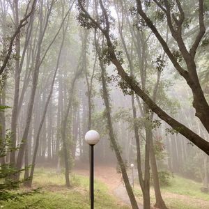 Image post by @ucsc on Instagram
