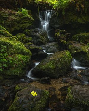 Image post by @nationalparkspartnership on Instagram