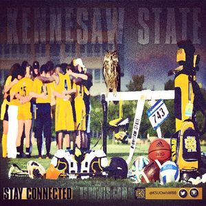 Image post by @ksuowlswbb on Instagram