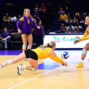 Image post by @lsuvolleyball on Instagram