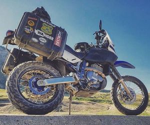 Image post by @seahorsecases on Instagram