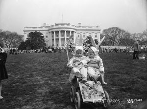 Image post by @gettyimages on Instagram