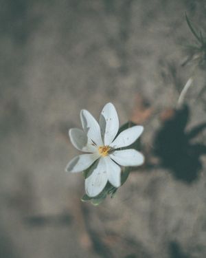 Image post by @ninamarie_creative on Instagram