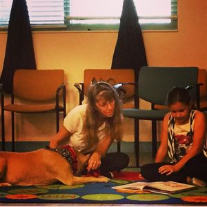 Image post by @stjohnscountylibrary on Instagram