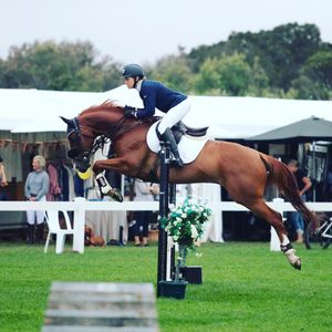 Image post by @snaffle_it on Instagram
