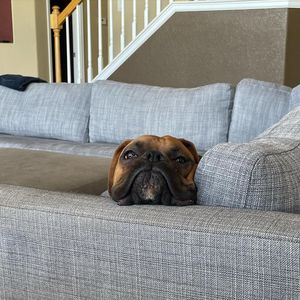 Image post by @stephiebelove on Instagram