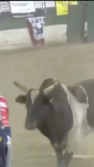Video post by @PRCAProRodeo on Facebook