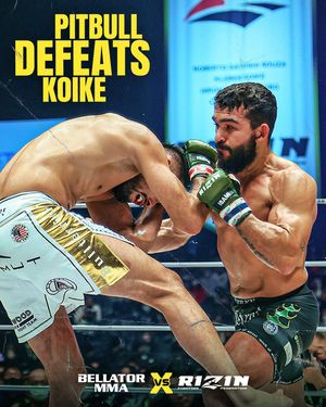 Image post by @bellatormma on Instagram