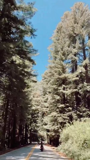Video post by @teamscrappers on Instagram