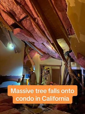 Image post by @foxweather on TikTok