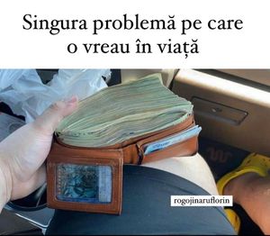 Image post by @rogojinaruflorin on Instagram