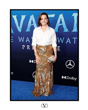 Image post by @maisonvalentino on Instagram