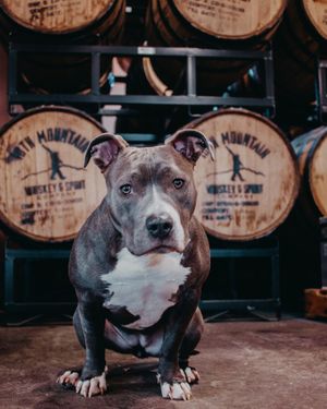 Image post by @10thmtnwhiskey on Instagram